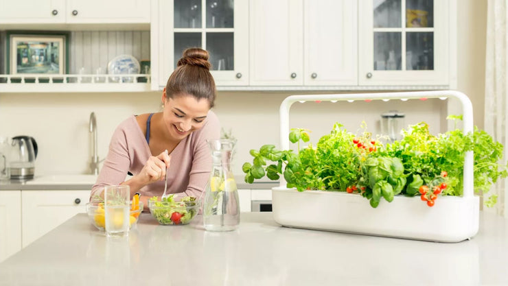 indoor kitchen garden - cover