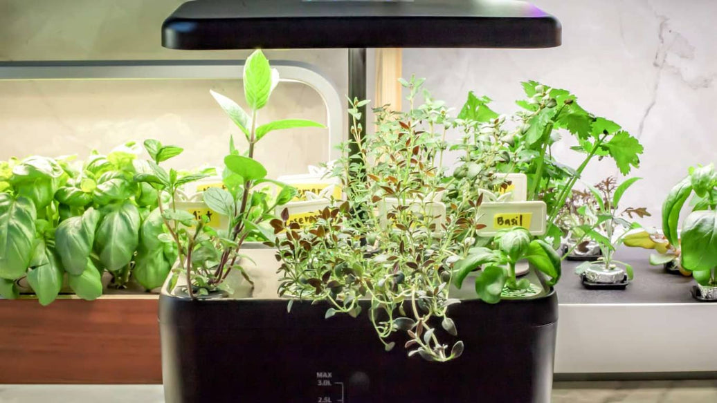 indoor year round herb garden - cover