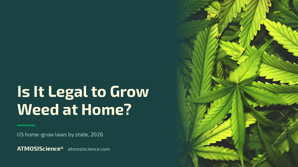 Is it legal to grow weed at home — US home-grow laws by state, 2026 | ATMOSIScience