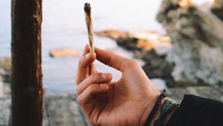 Is Where You’re Living Ruining Your Hemp or Cannabis - ATMOSIScience | 2-Way Humidity Control, Naturally