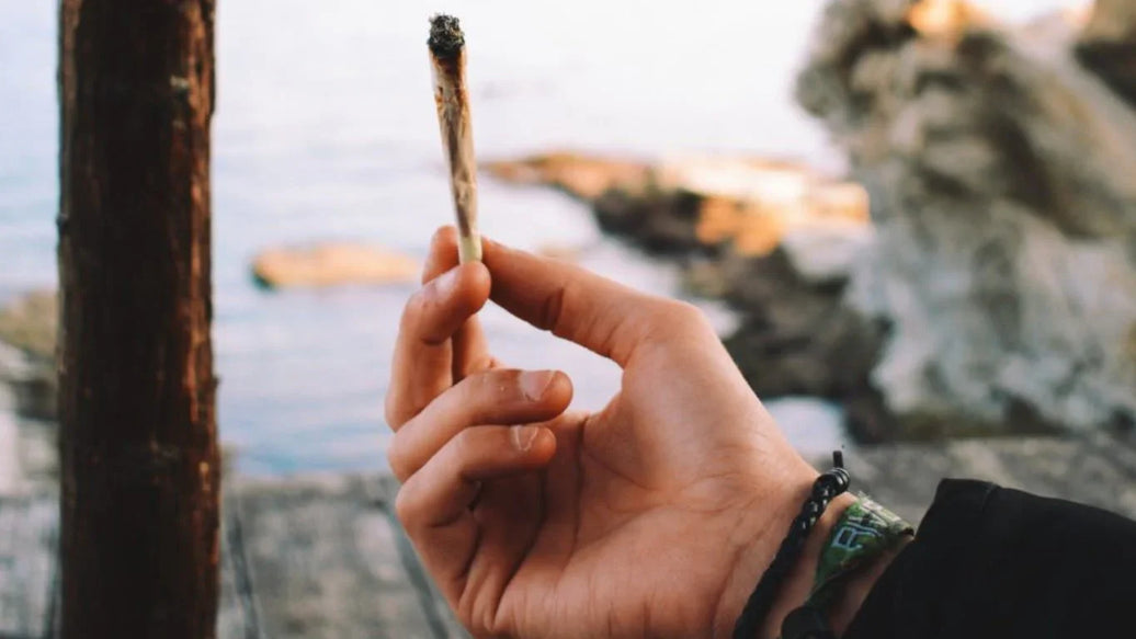 Is Where You’re Living Ruining Your Hemp or Cannabis - ATMOSIScience | 2-Way Humidity Control, Naturally