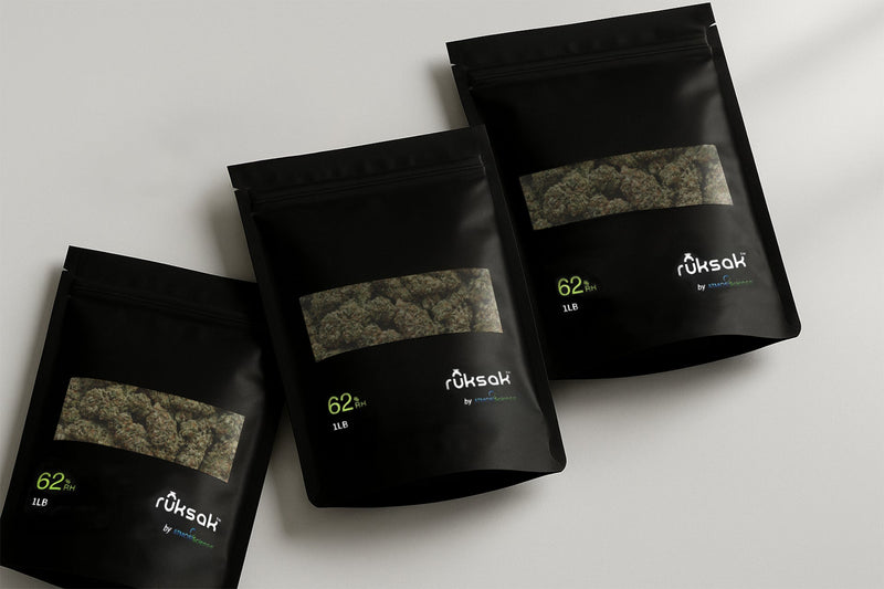 Cannabis Bulk Storage: Why 62% RH Is the Industry Standard for Cultivators