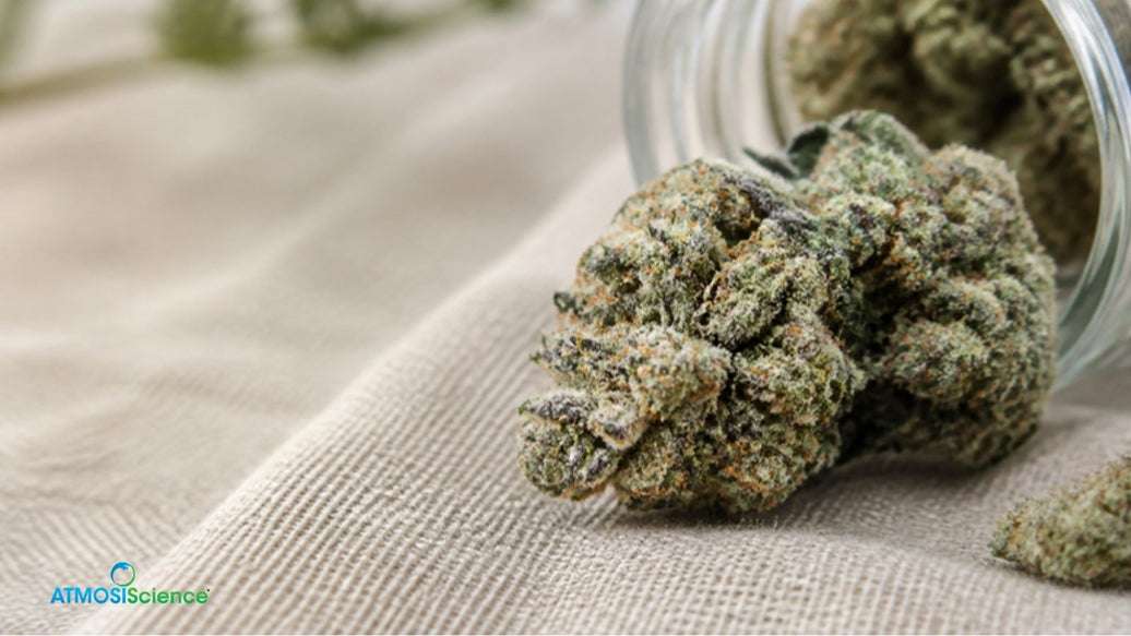 Frosty cannabis bud at the mouth of a glass jar, stored at the best humidity for potency