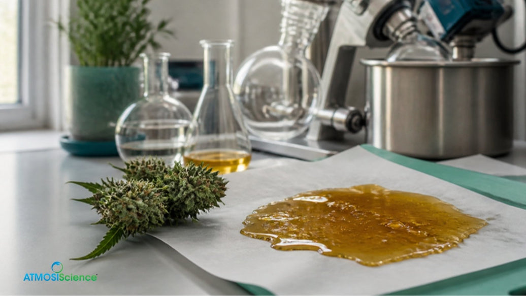 Amber cannabis extract on parchment with glassware and a rotary evaporator in an extraction lab