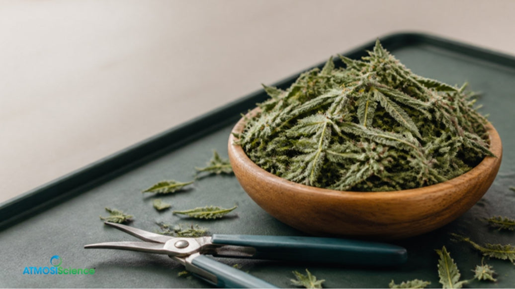 Frosty cannabis sugar leaves in a wooden bowl beside trimming scissors on a trim tray