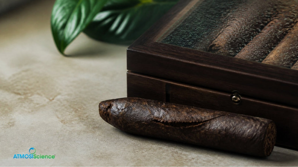 Swollen cigar with a split seam beside a humidor lid beaded with moisture, signs of over-humidified cigars
