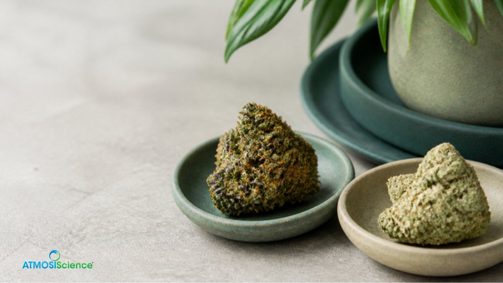 Sticky weed vs dry weed shown side by side in two ceramic dishes