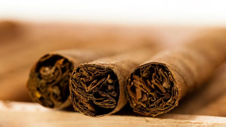 Tired of Your Expensive Cigars Drying? Keep Reading. - ATMOSIScience | 2-Way Humidity Control, Naturally