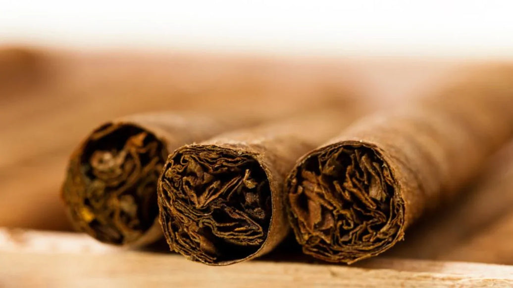 Tired of Your Expensive Cigars Drying? Keep Reading. - ATMOSIScience | 2-Way Humidity Control, Naturally