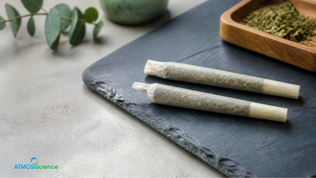 Two unlit pre-rolls on slate comparing a twist tip and a Dutch crown finish