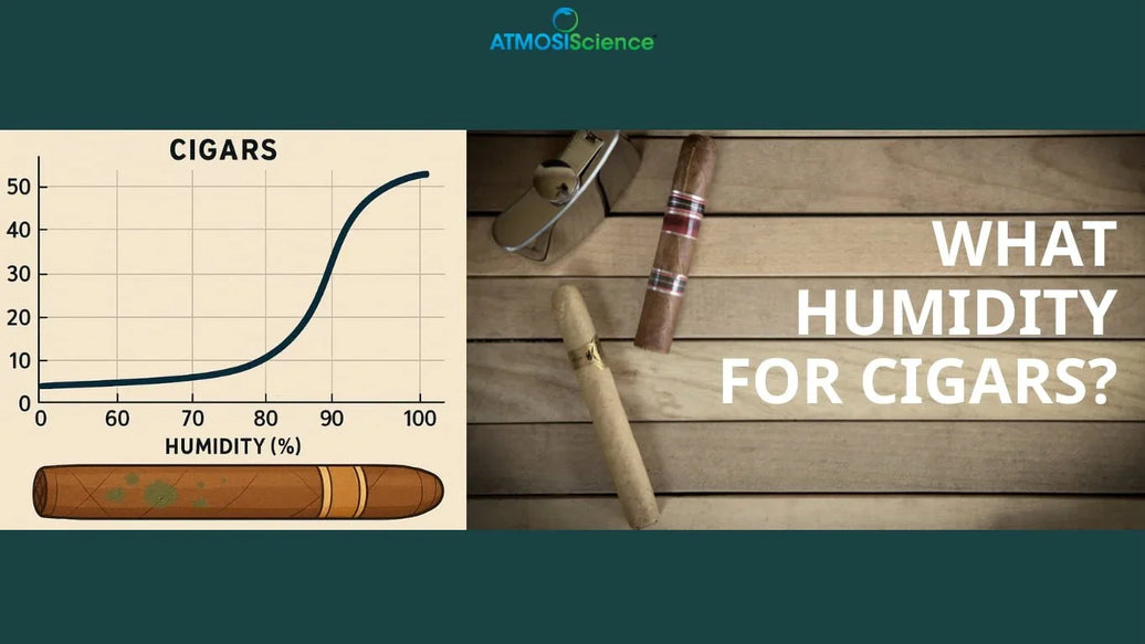 What Humidity for Cigars? Guide to Ideal RH and Storage Tips - ATMOSIScience | 2-Way Humidity Control, Naturally