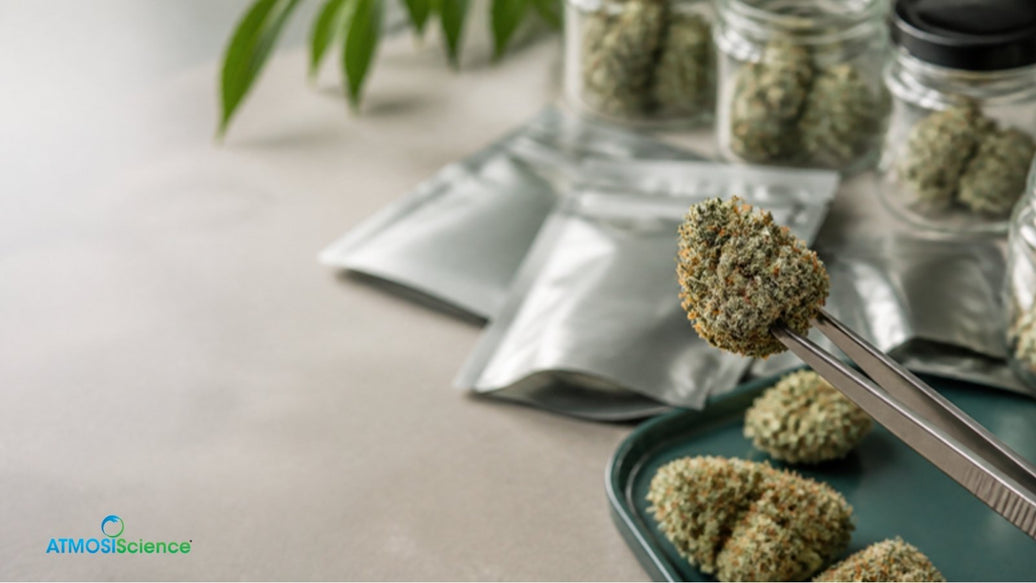 Tweezers holding a frosty cannabis bud near sealed packaging, protecting cannabis terpenes