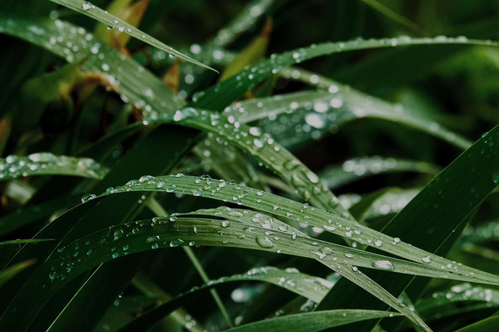 Fiber technology that breathes with your product