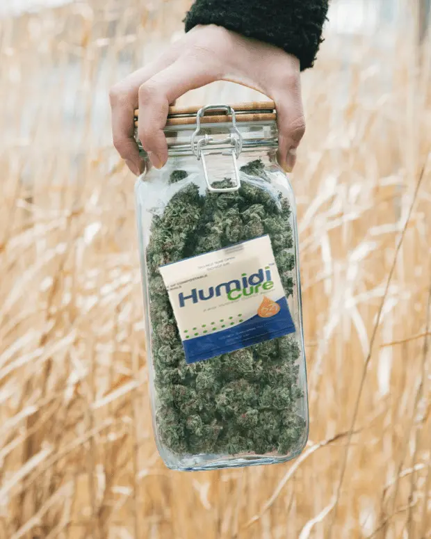 Carton of Humidi - Cure™ 62% for Cannabis - ATMOSIScience | 2 - Way Humidity Control, Naturally