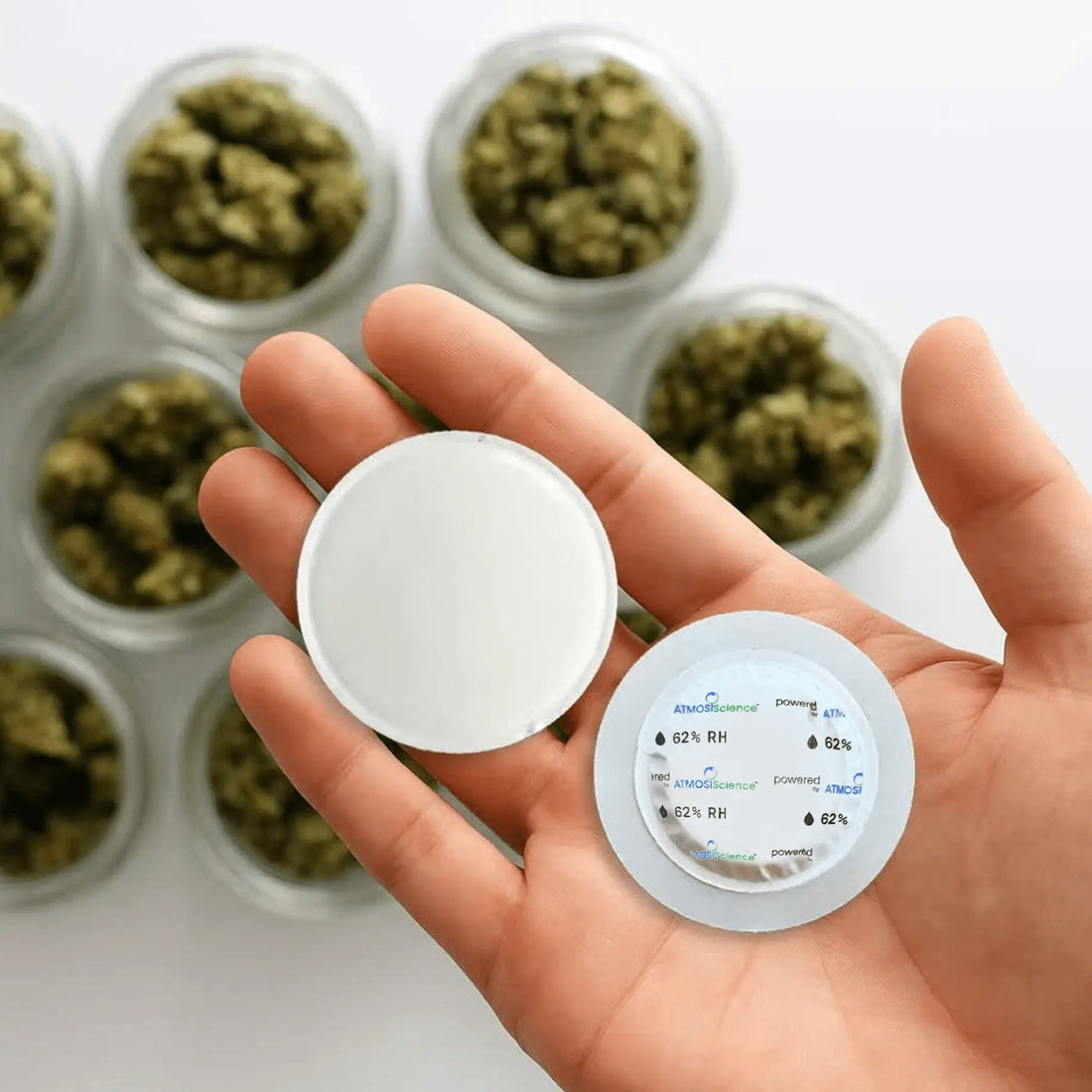 A 46 mm disc, sized for standard jars.