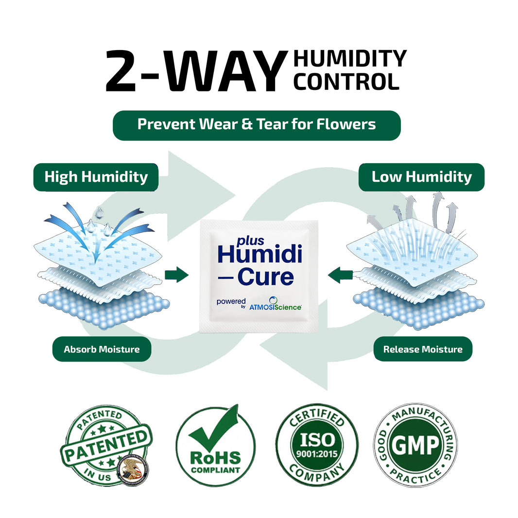 image Humidi-Cure Plus